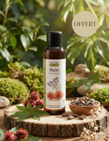 Pack Rentrée - Coffret découverte